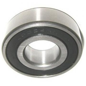 Inch Series Nu Type Double Row Cylindrical Roller Bearing