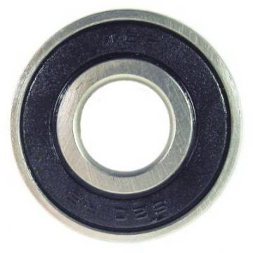 SKF, NSK, NTN Nj 1014m Cylindrical Roller Bearing